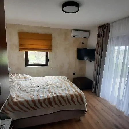 Boletov Raj Lux
